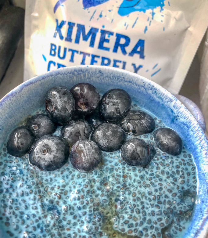 Butterfly Blueberry Chia Seed Pudding