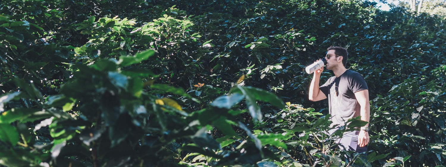 Nootropics Collection