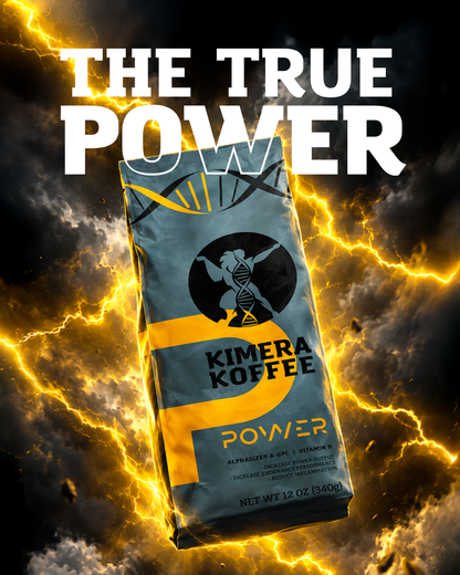 Power Blend Coffee with Alpha GPC + D3 (12oz)