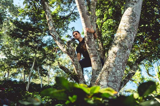 man in sunglasses in a tree, from below